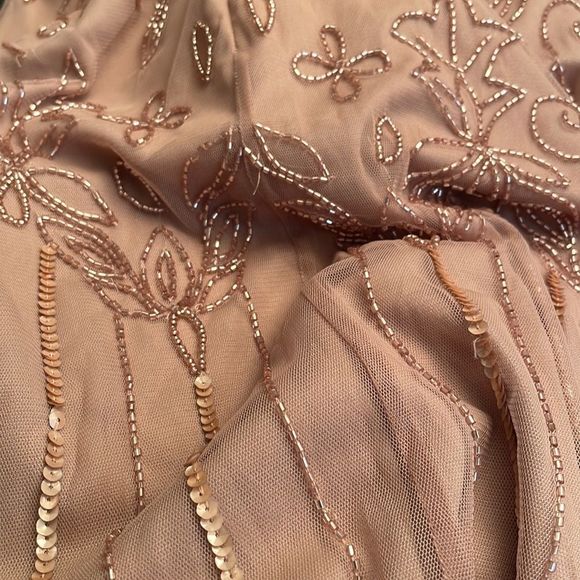 ADRIANNA PAPELL SHORT SLEEVE BLOUSON BEADED GOWN IN ROSE GOLD - Picture 14 of 14